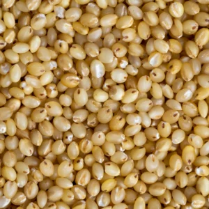 Foxtail Millet (Thinai)