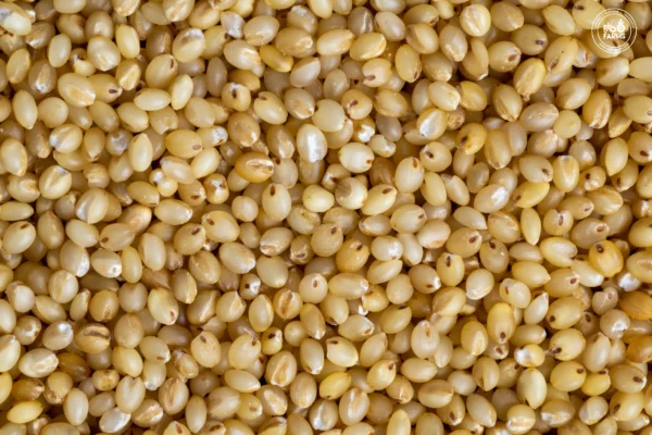 Foxtail Millet (Thinai)