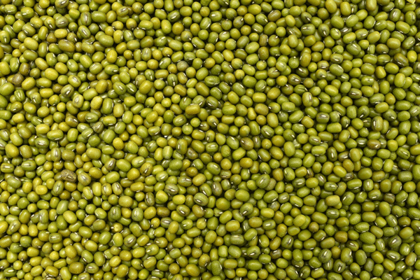 Green Gram-450 g | Pachai Payaru