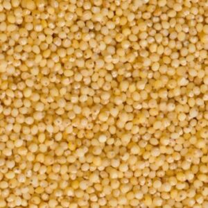 Little Millet (Samai) - 450 g