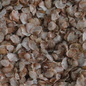 Poongar Flakes – 240 g