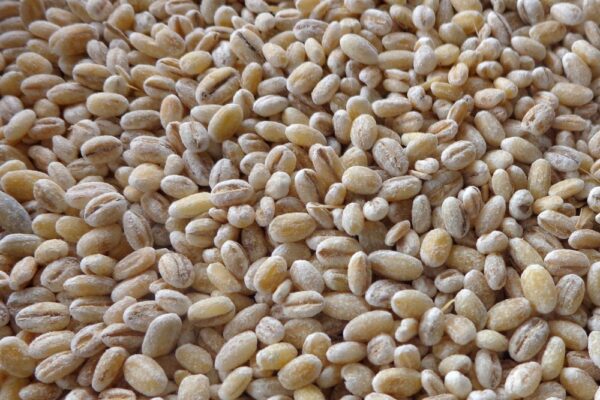 Barley Millet – 450g