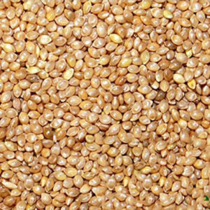 Barnyard Millet (Kudiraivali)