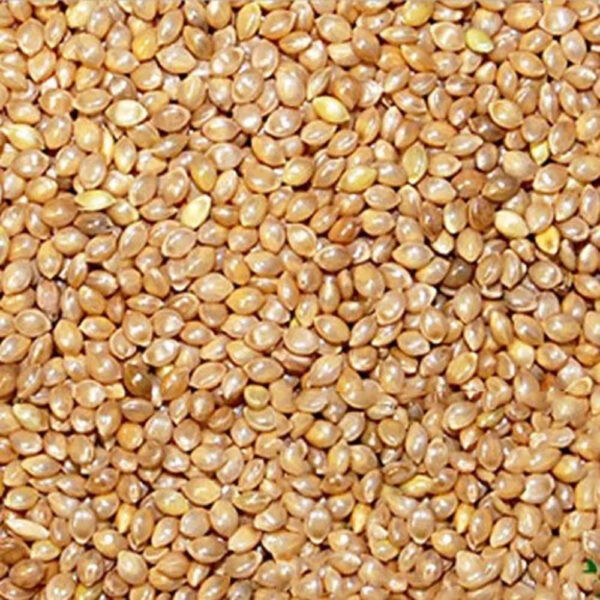 Barnyard Millet (Kudiraivali)
