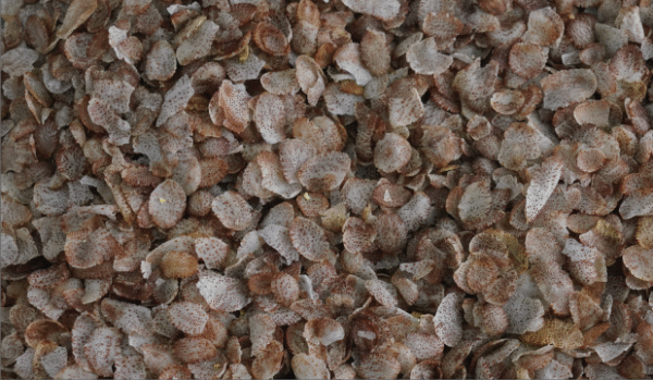 Kaatuyanam Flakes – 240 g