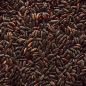 Karuppu Kavuni Rice (Black Kavuni Rice) - 450 g