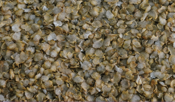 Pearl Flakes