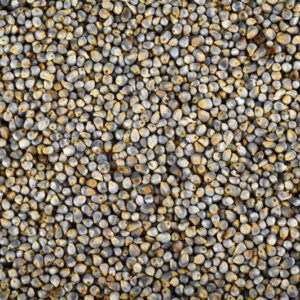 Pearl Millet (Kambu) – 450 g