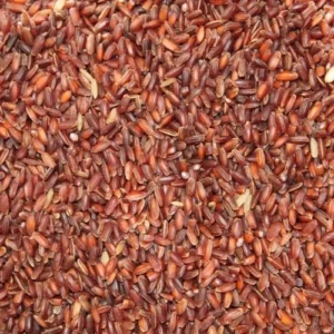 Poongar Rice - 450 g