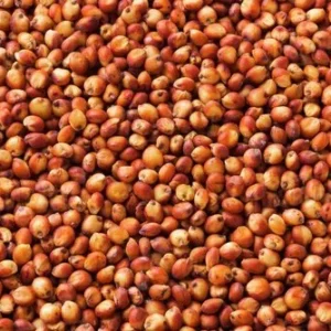 Sorghum Millet | Red (Solam)