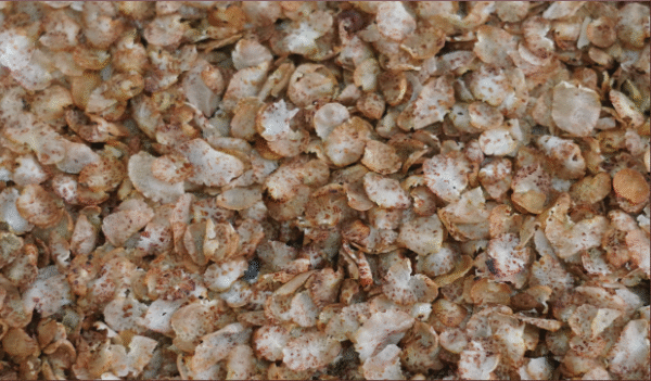 Sorghum Flakes | Red (Jowar Aval) – 240 g