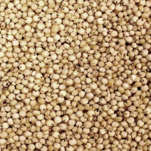 Sorghum Millet | White (Solam)