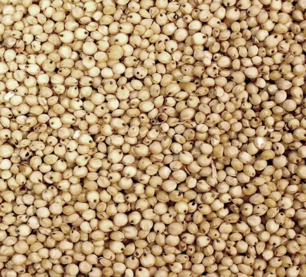 Sorghum Millet | White (Solam)